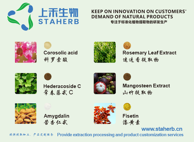 綠原酸 天然綠色的多面手，工業植物提取引領健康新未來